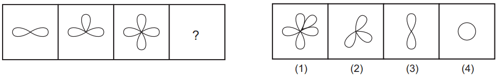Figure series completion 117 Maths Mock Test,JNV Mock Test Maths Mock Test-418