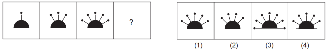 Figure series completion 30 Maths Mock Test,JNV Mock Test Maths Mock Test-98