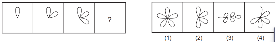 Figure series completion 97 Maths Mock Test,JNV Mock Test Maths Mock Test-418
