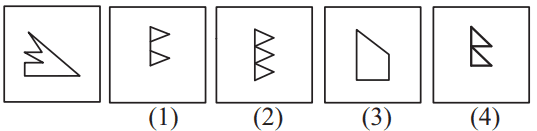 Geometrical figure 59 Mental Ability Mock Test,Navodaya,JNVST Class 6 Mental Ability Mock Test,Navodaya Mental Ability Practice,JNVST Mental Ability Questions,Odd Man Out Questions for Navodaya Mental Ability Mock Test-1