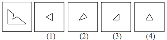 Geometrical figure 60 Maths Mock Test,JNV Mock Test Maths Mock Test-418
