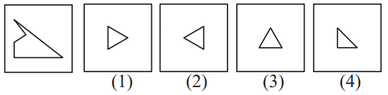 Geometrical figure 62 Maths Mock Test,JNV Mock Test Maths Mock Test-418