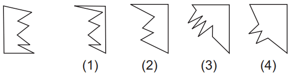 Geometrical figure 94 Maths Mock Test,JNV Mock Test Maths Mock Test-418