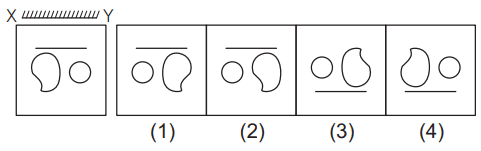 Mirror image 10 Maths Mock Test,JNV Mock Test Maths Mock Test-418