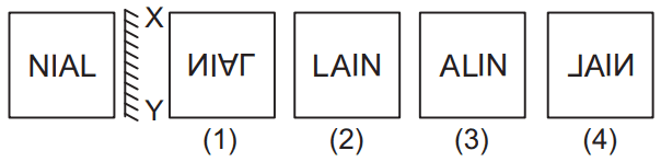 Mirror image 27 Maths Mock Test,JNV Mock Test Maths Mock Test-418