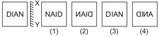 Mirror image 31 Mental Ability Mock Test,JNVST Mental Ability Mock Test-17