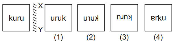 Mirror image 32 Maths Mock Test,JNV Mock Test Maths Mock Test-418