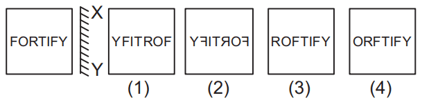 Mirror image 33 Maths Mock Test,JNV Mock Test Maths Mock Test-98