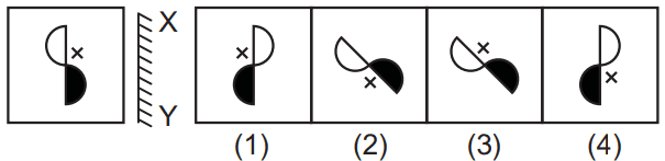 Mirror image 45 Maths Mock Test,JNV Mock Test Maths Mock Test-418