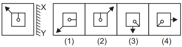 Mirror image 47 Maths Mock Test,JNV Mock Test Maths Mock Test-418