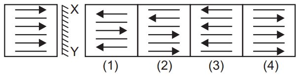 Mirror image 48 Maths Mock Test,JNV Mock Test Maths Mock Test-418