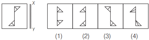 Mirror image 8 Maths Mock Test,JNV Mock Test Maths Mock Test-418