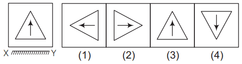 Mirror image 9 Maths Mock Test,JNV Mock Test Maths Mock Test-418