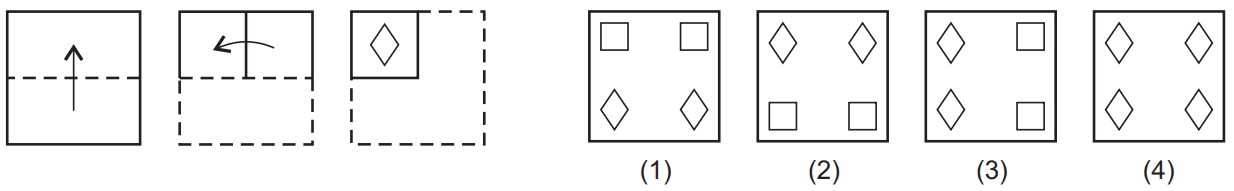 Punched hole pattern 35 Maths Mock Test,JNV Mock Test Maths Mock Test-414
